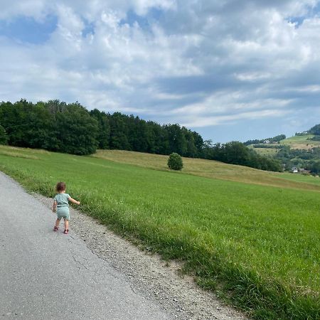 M37 X Fabryczna Lägenhet Limanowa Exteriör bild